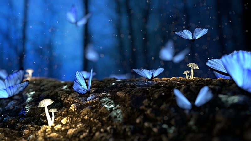 Enchanted Forest Whimsy